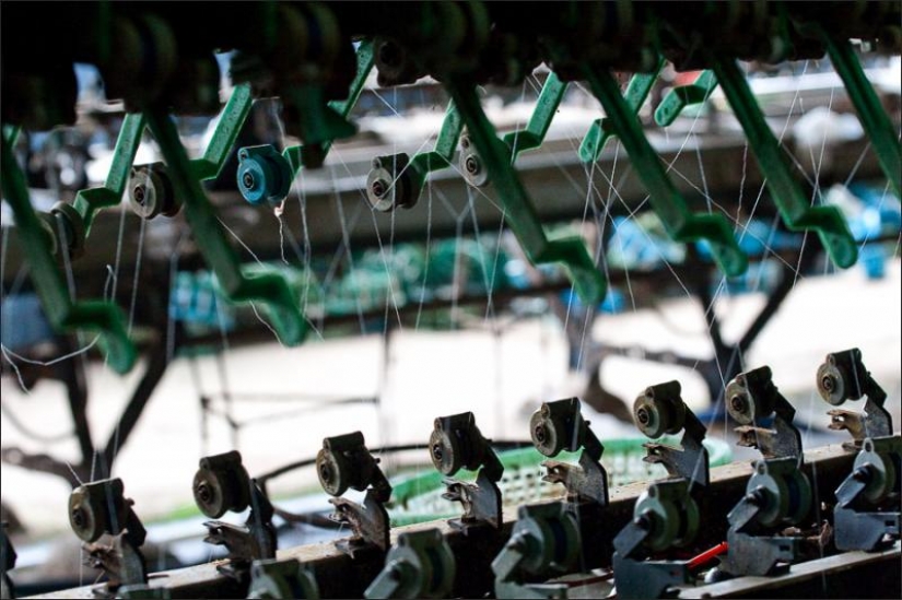 Cómo obtener el hilo de seda