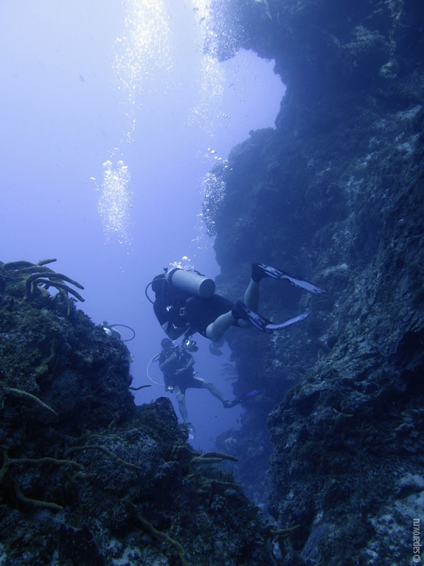 Diving on the island of Cozumel