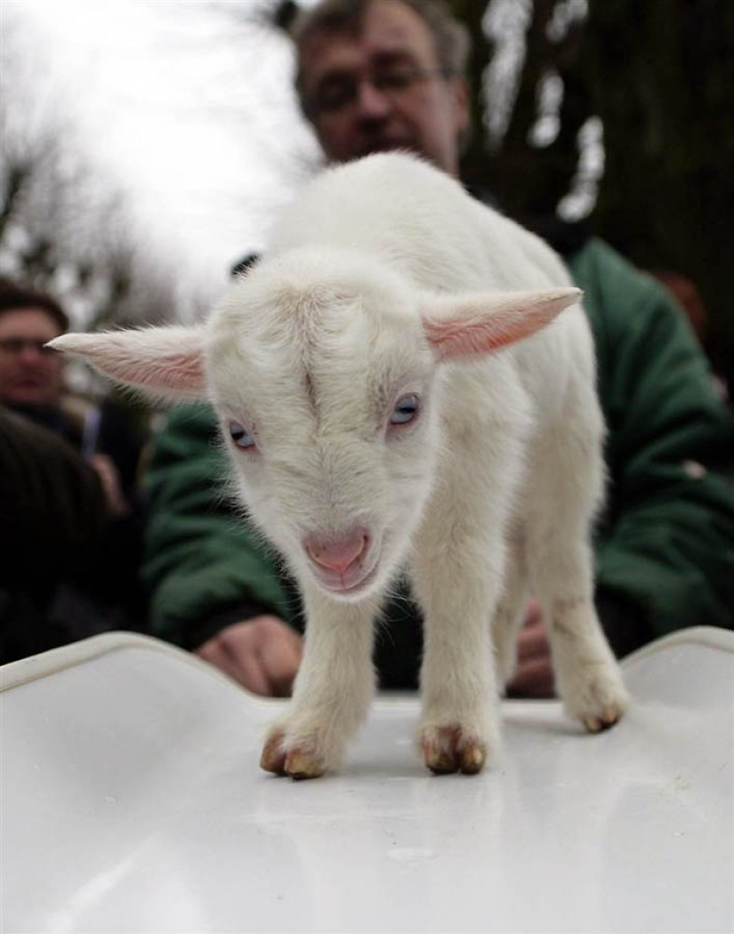 Hermanos nuestros más pequeños