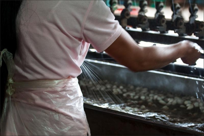 How to get silk thread