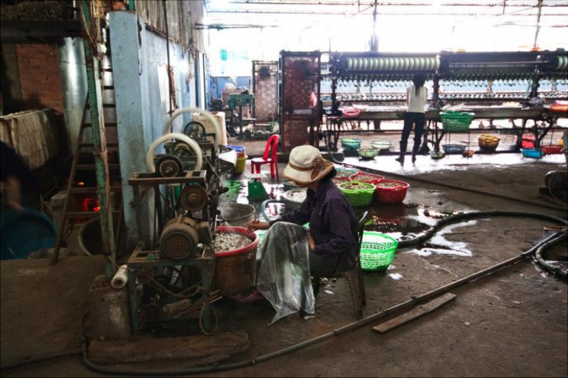 How to get silk thread