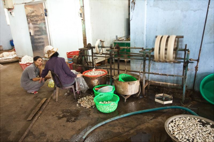 How to get silk thread