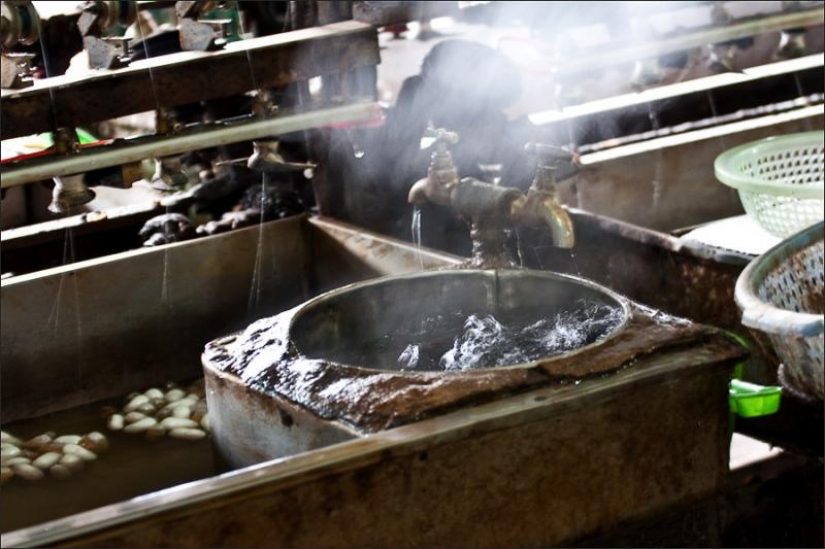 How to get silk thread