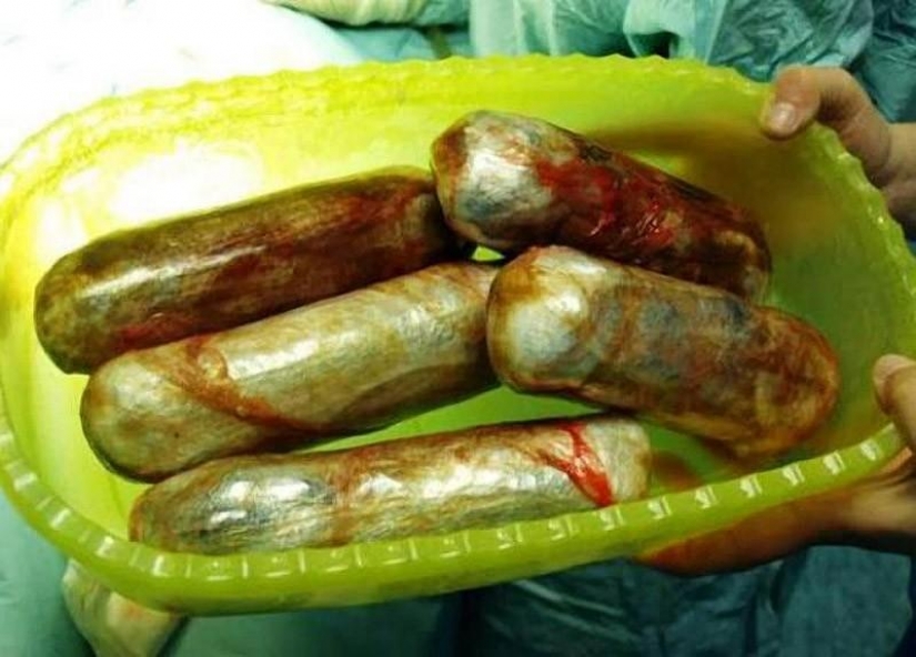 El contrabando de drogas en el interior de los perros... El contrabando de drogas en el interior de los perros...