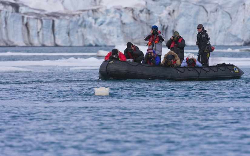 Encuentro con un oso polar