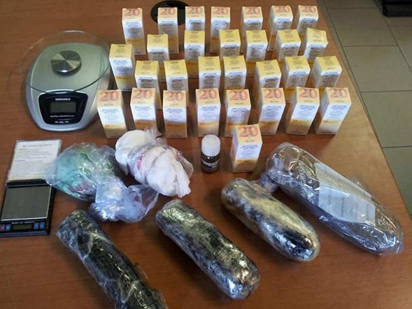 Smuggle drugs inside dogs...