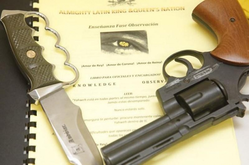 Smuggle drugs inside dogs...