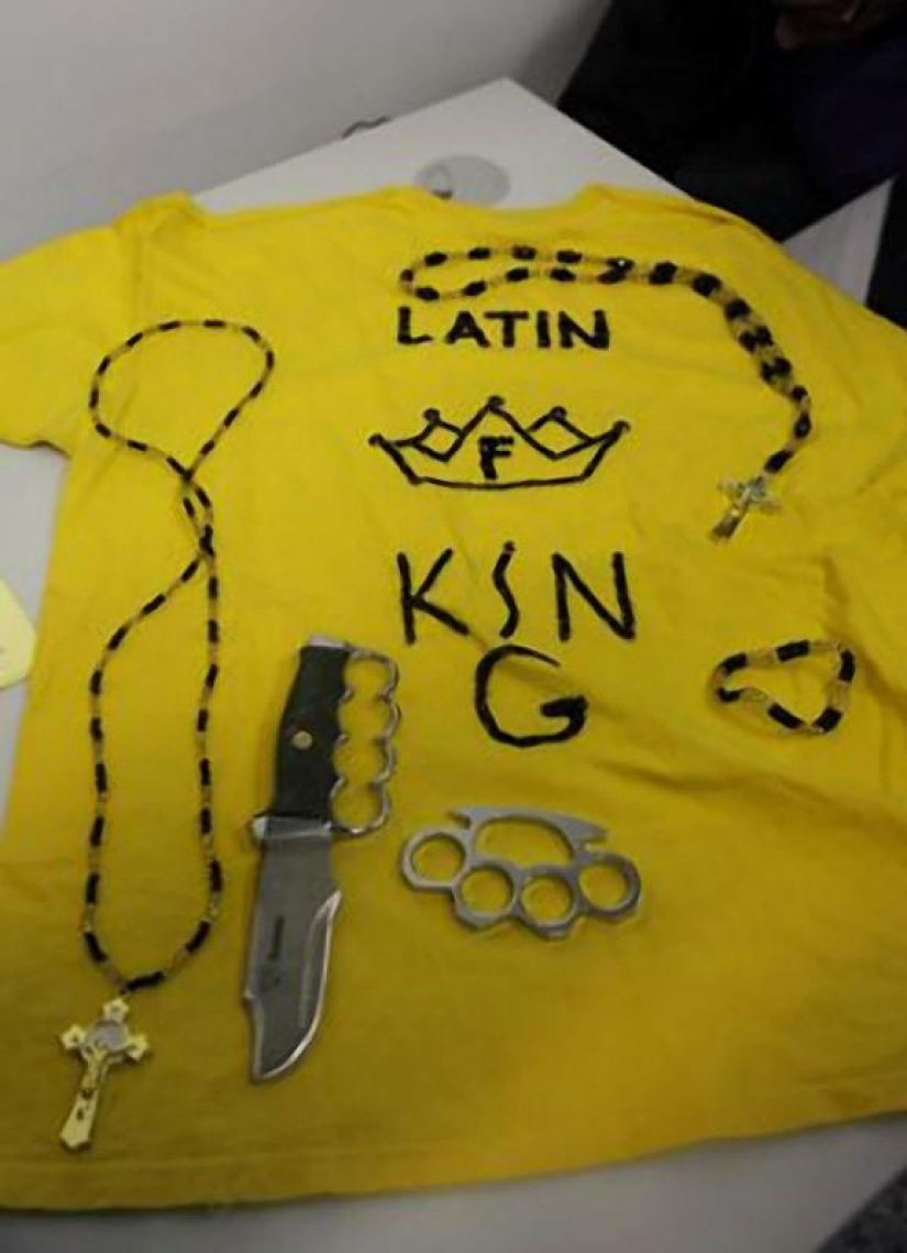 Smuggle drugs inside dogs...