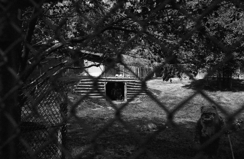 Star wars in real life