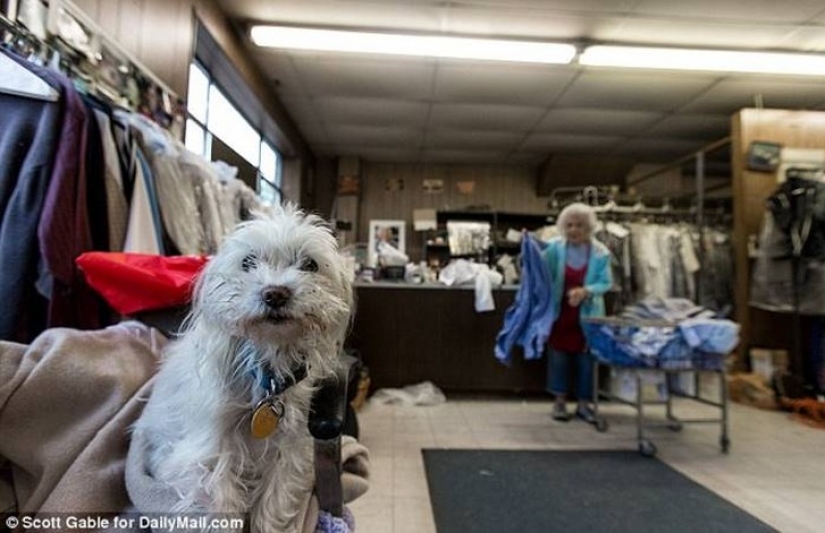 This 100-year-old woman still works in the Laundry room 11 hours a day