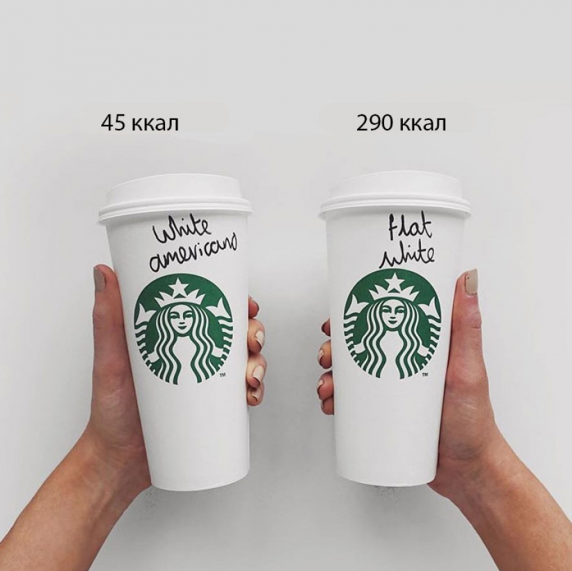 Amnistía chips: el blogger mostraron claramente que la comida saludable y no saludable una caloría