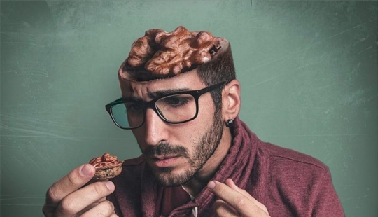 10 absolutamente absurdas ideas, que llevó a sus autores a millones 10 absolutamente absurdas ideas, que llevó a sus autores a millones