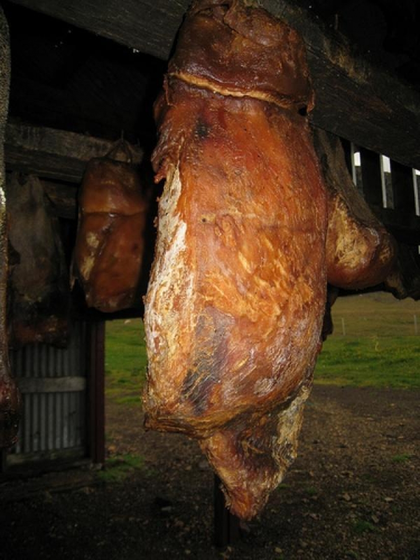 10 dangerous products