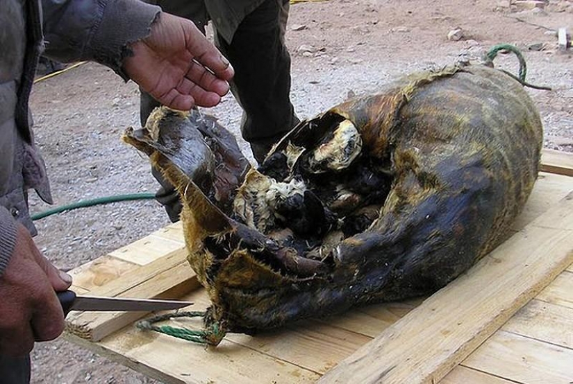 10 dangerous products