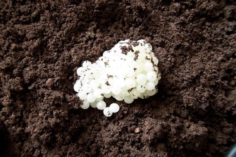 10 dangerous products