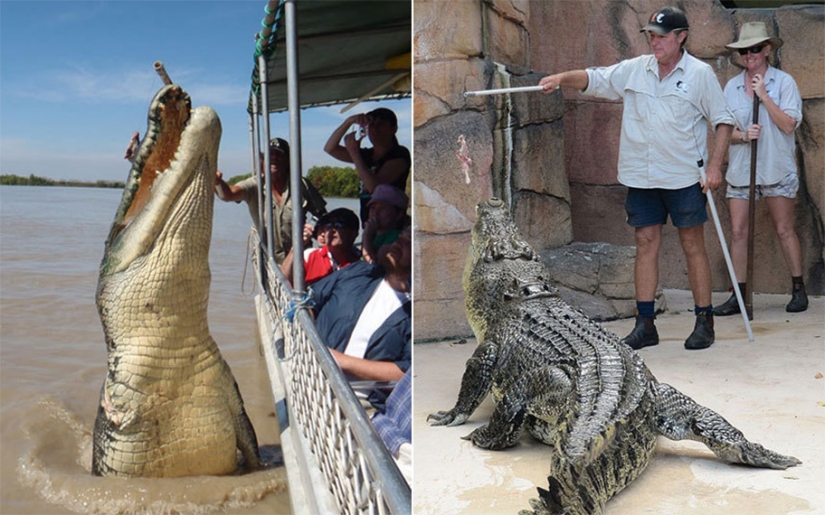 10 deadly occupations