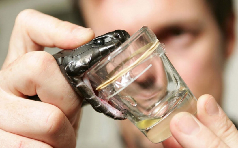 10 deadly occupations