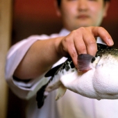 10 experimentan con frecuencia las emociones, que, resulta, que tienen nombres