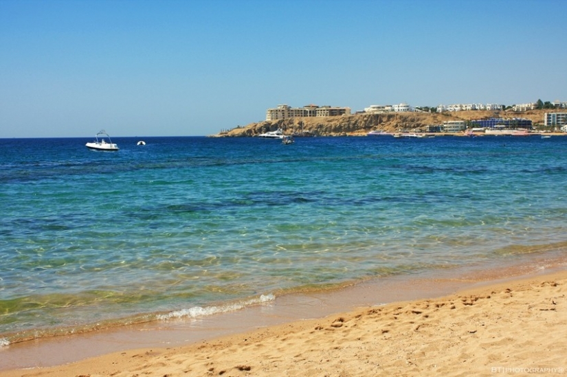 10 facts about the Red sea