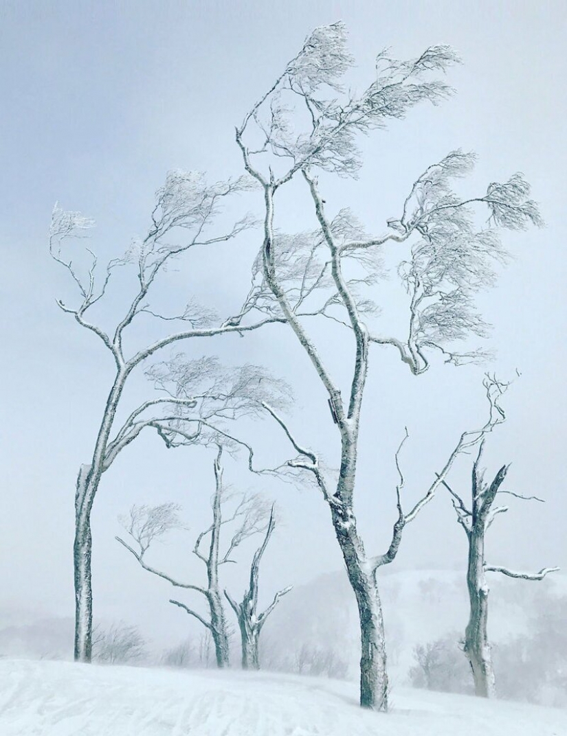 10 finalistas para la fotografía de paisajes, La Fotógrafa Independiente