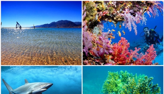 10 hechos sobre el mar Rojo 10 hechos sobre el mar Rojo