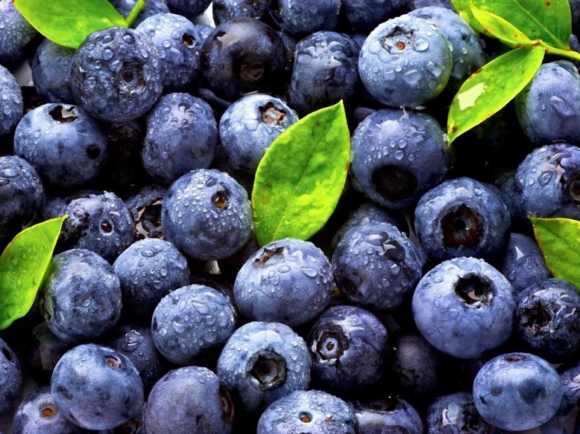 10 maneras de protegerse de cáncer