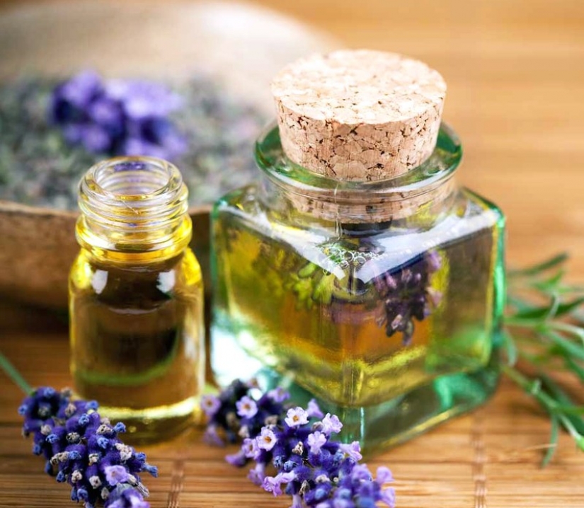 10 maneras para combatir los mosquitos y sus picaduras