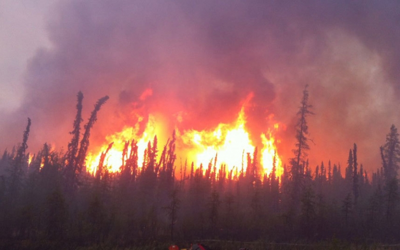 10 mortal ocupaciones