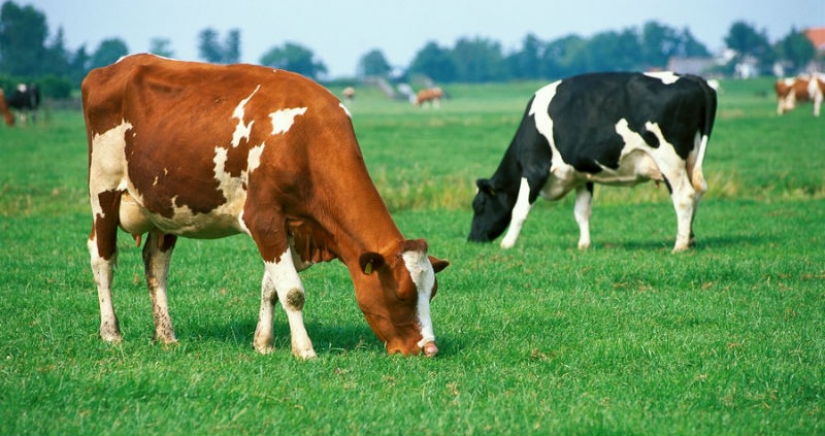 10 secrets of nature that scientists have failed to disclose