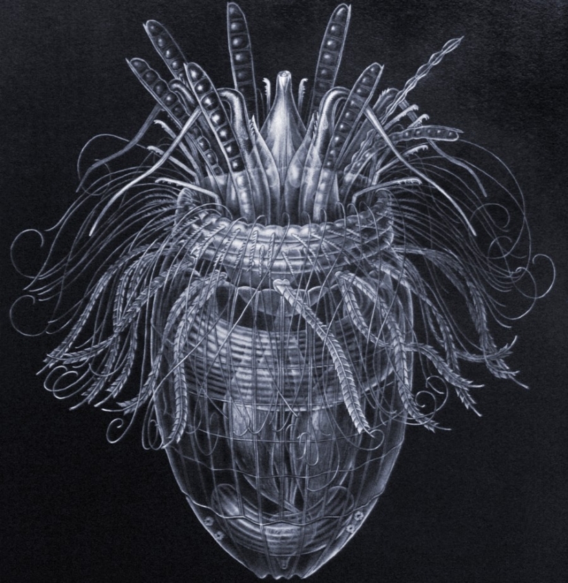 10 secrets of nature that scientists have failed to disclose