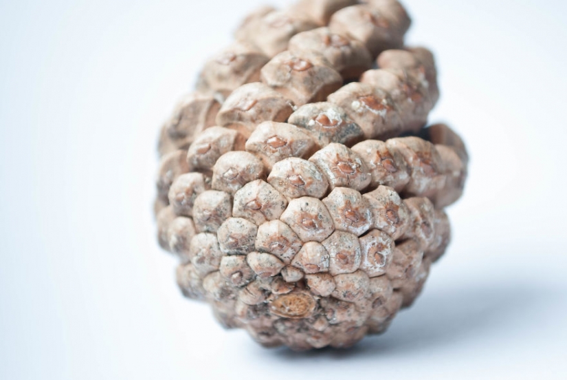 10 simple tips on how to photograph the usual boring bump