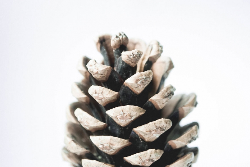 10 simple tips on how to photograph the usual boring bump