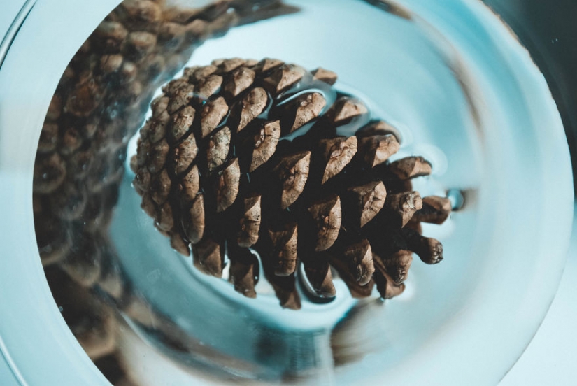 10 simple tips on how to photograph the usual boring bump