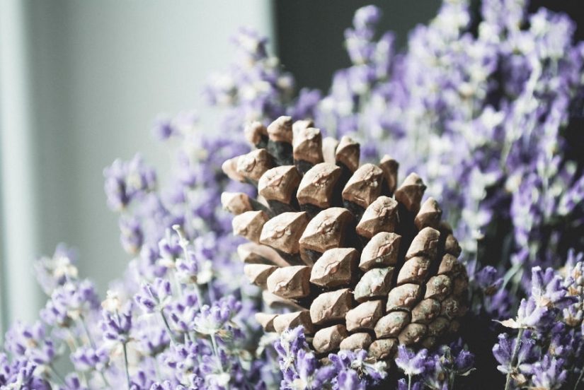 10 simples consejos sobre cómo fotografiar el aburrido de costumbre bump 10 simples consejos sobre cómo fotografiar el aburrido de costumbre bump