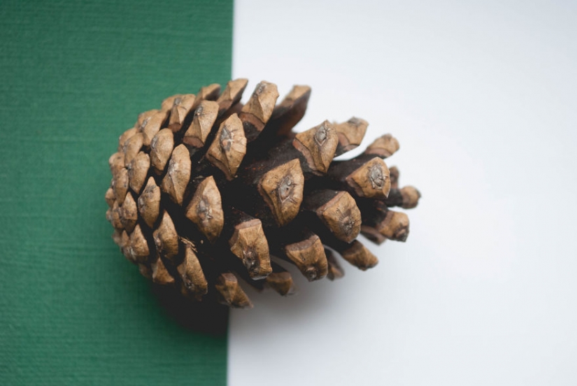 10 simples consejos sobre cómo fotografiar el aburrido de costumbre bump 10 simples consejos sobre cómo fotografiar el aburrido de costumbre bump