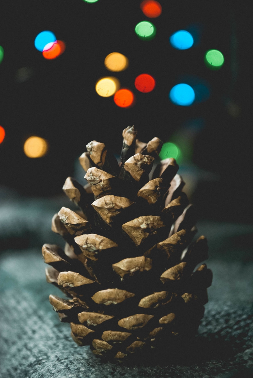 10 simples consejos sobre cómo fotografiar el aburrido de costumbre bump 10 simples consejos sobre cómo fotografiar el aburrido de costumbre bump