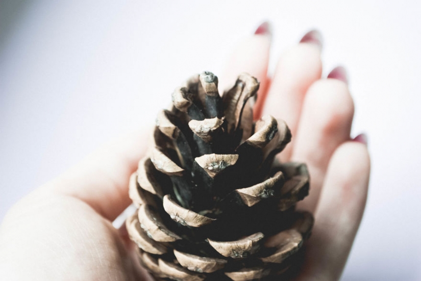 10 simples consejos sobre cómo fotografiar el aburrido de costumbre bump 10 simples consejos sobre cómo fotografiar el aburrido de costumbre bump