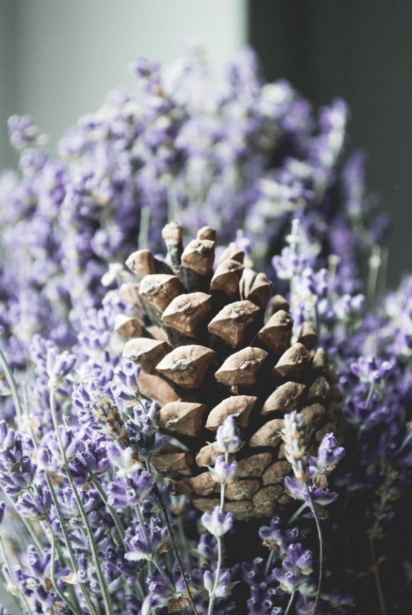 10 simples consejos sobre cómo fotografiar el aburrido de costumbre bump 10 simples consejos sobre cómo fotografiar el aburrido de costumbre bump