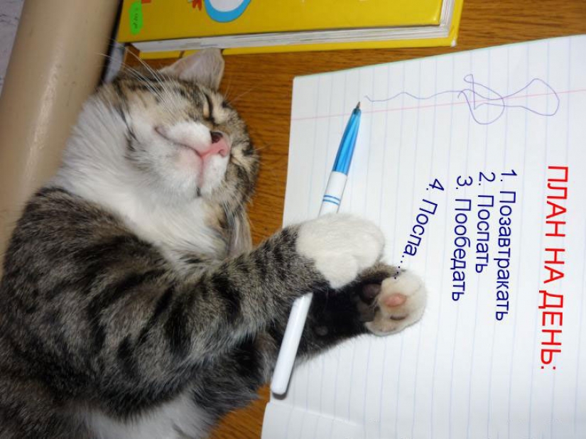 10 things to do before 10am