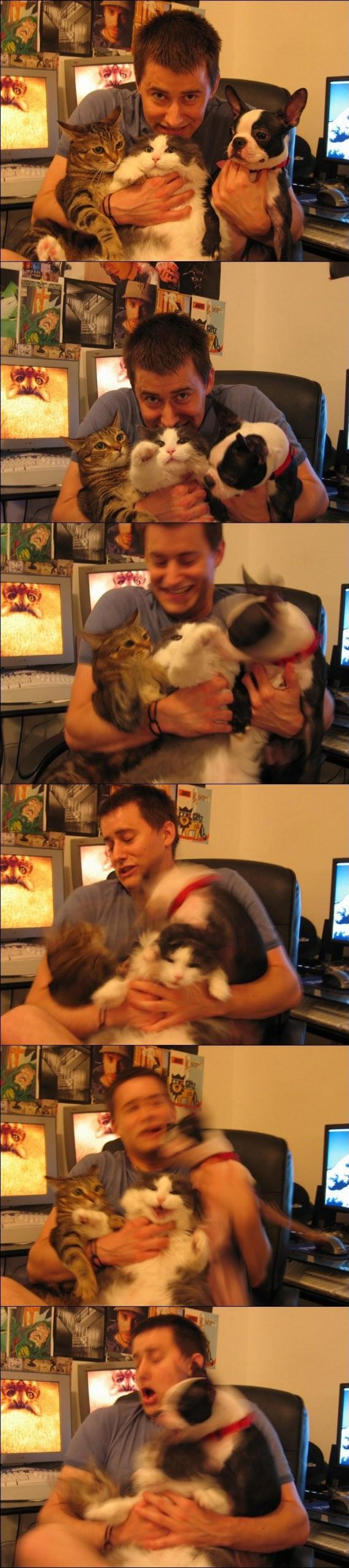 100 best cat photos of all times and peoples