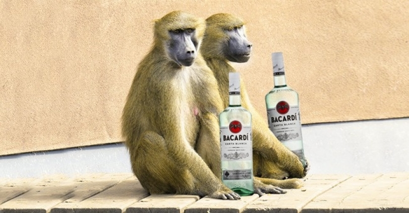 11 marcas internacionales, que ha pagado con un título