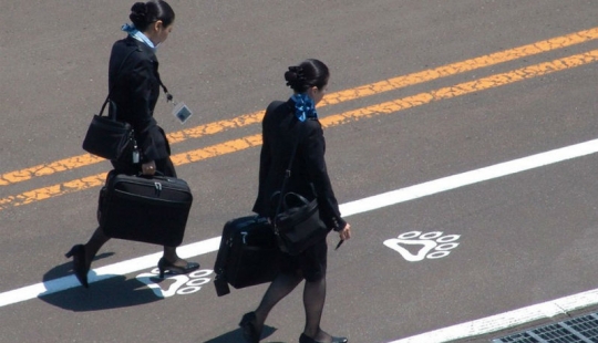 11 vida útil hacks para los secretos de los asistentes de vuelo