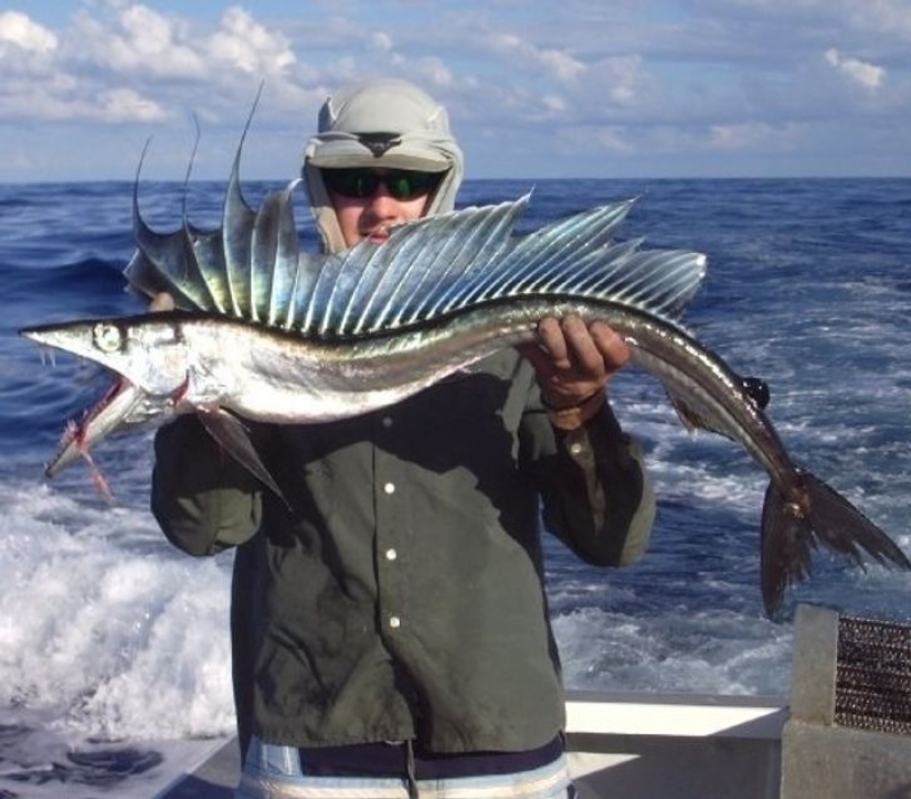 12 animals that look like they came straight from a sci-fi movie