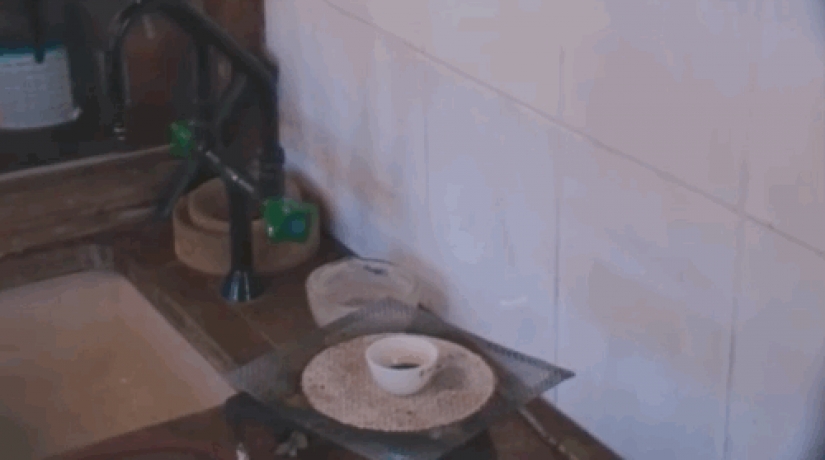 12 chemical reactions, which are more like magic