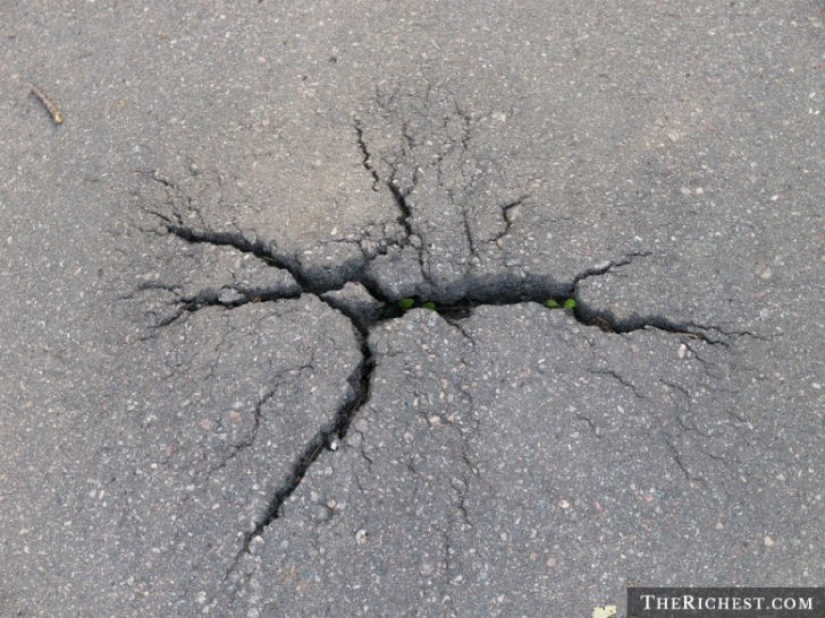 12 de la más loca de las supersticiones de todo el mundo 12 de la más loca de las supersticiones de todo el mundo