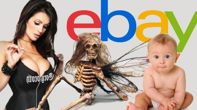 12 most shocking lots for sale on eBay 12 most shocking lots for sale on eBay