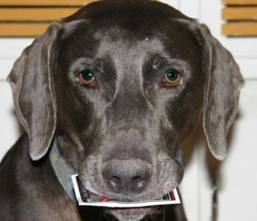 12 most shocking lots for sale on eBay 12 most shocking lots for sale on eBay