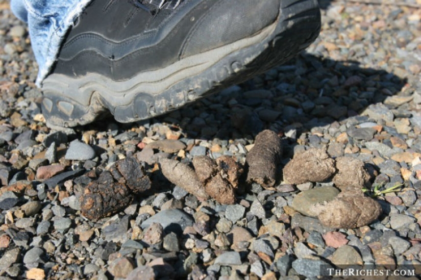 12 of the craziest superstitions from around the world