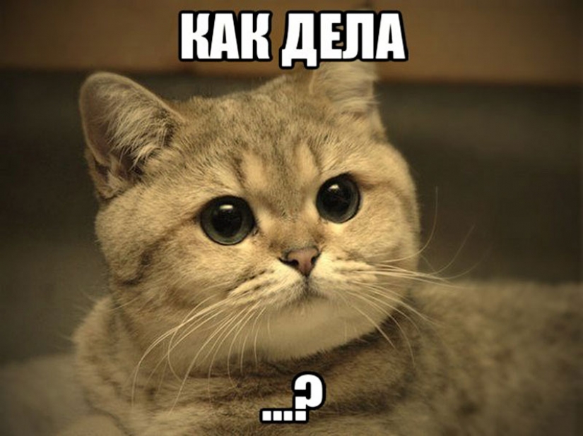 13 habits that only our man