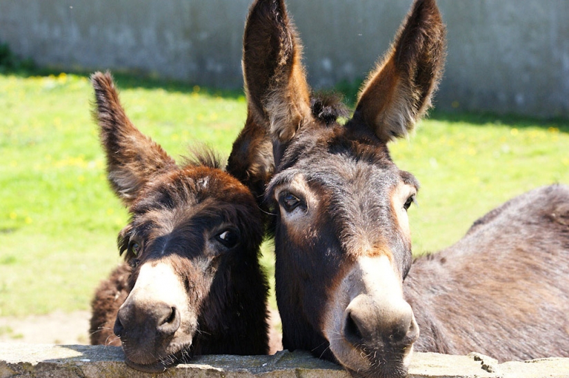 13 inspirador hechos acerca de los aviones